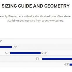 SALE 2021 Giant Cypress Hybrid Bike