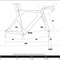 TRIATHLON SUITS 2021 BMC TimemachineTWO Triathlon Bike