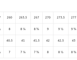 Fizik Transiro R4 Powerstrap Triathlon Bike Shoe SHOES